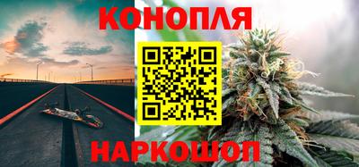 сатива Бийск