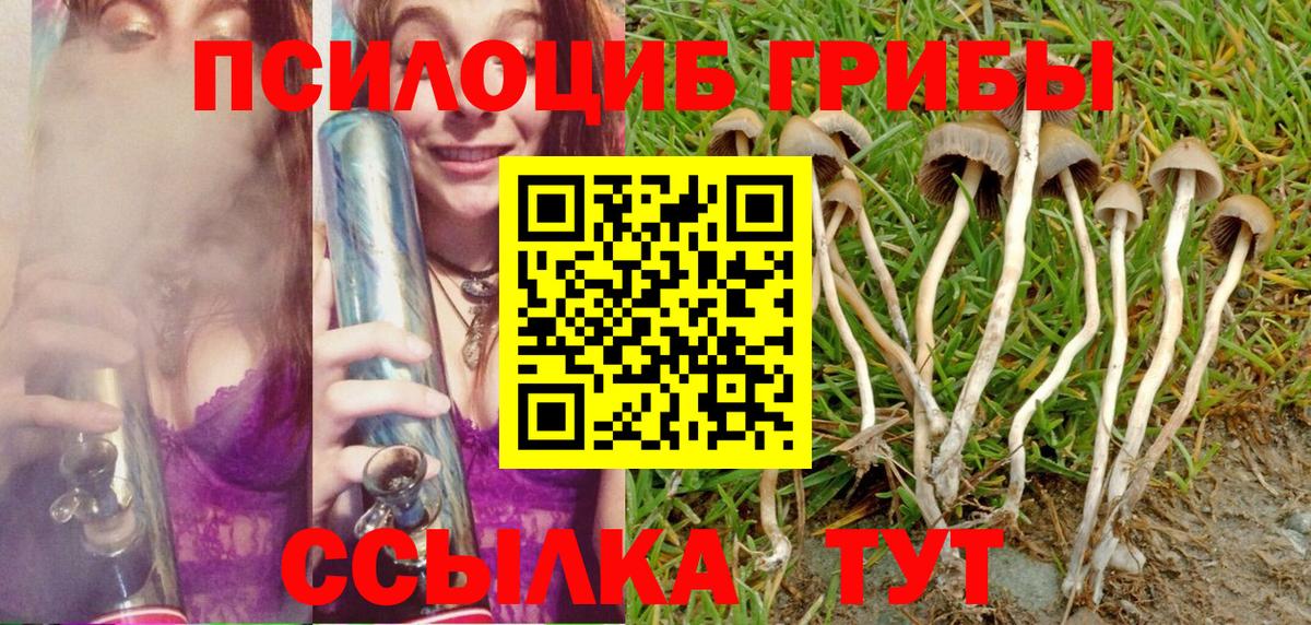 Псилоцибиновые грибы мицелий Каменск-Шахтинский