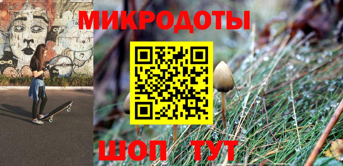 Каменск-Шахтинский  Псилоцибиновые грибы мицелий  Вход с VPN  Галлюциногенные грибы GOLDEN TEACHER 